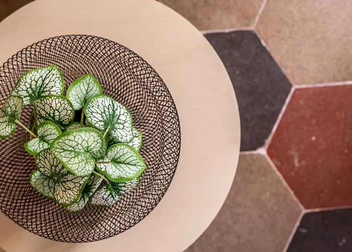 Apartment Iflat New Boutique In Rome's Heart Rom